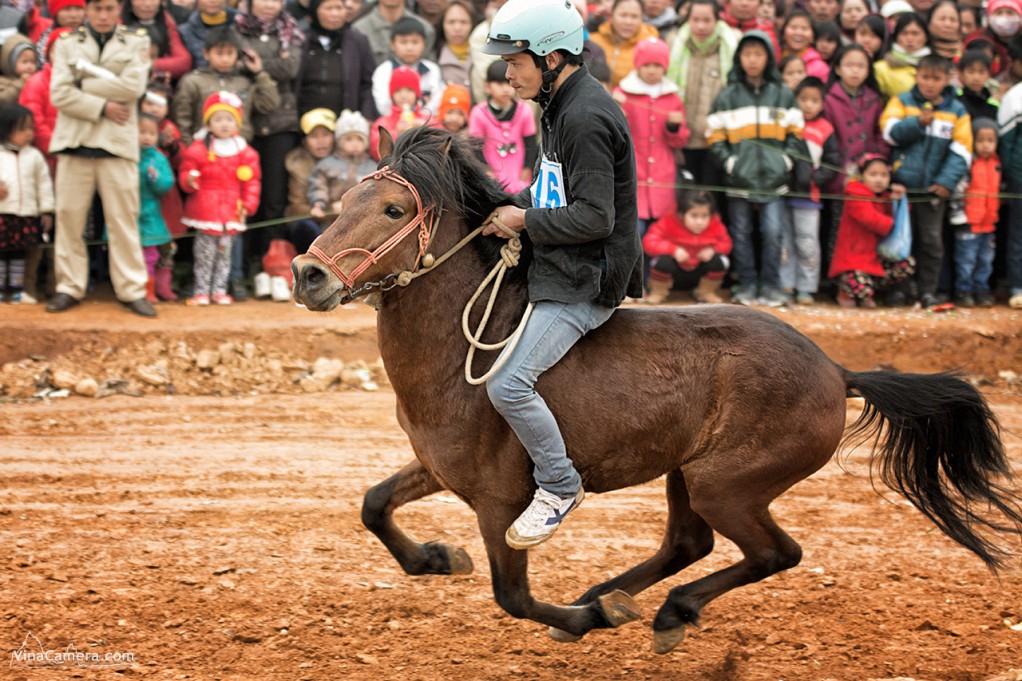 2014-02-16_HorseRace_DongMo_VinaCamera_1