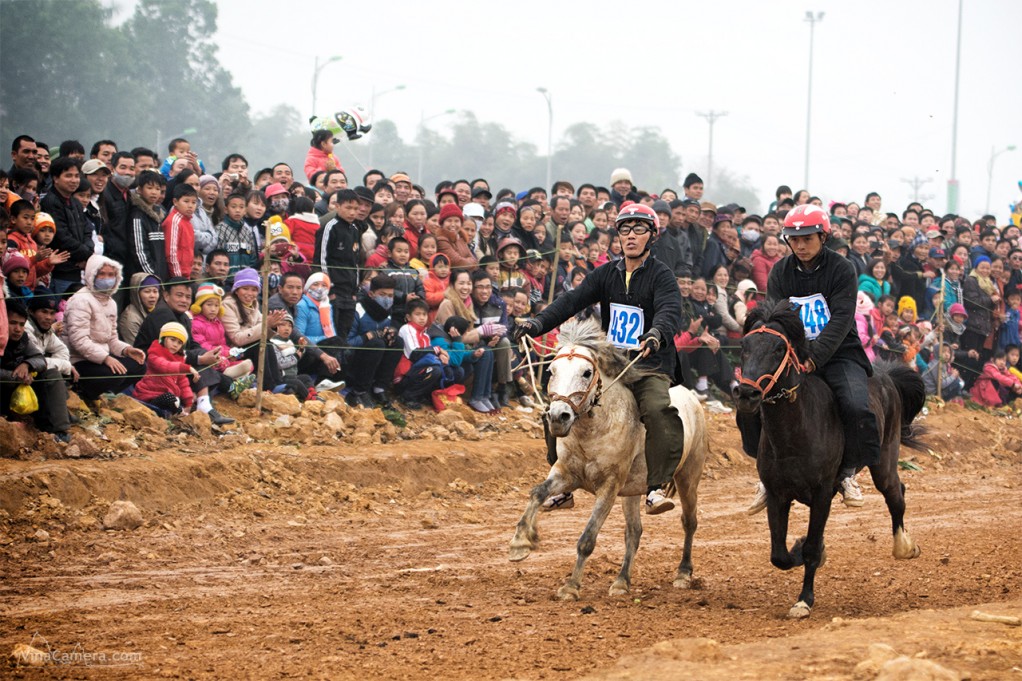 2014-02-16_HorseRace_DongMo_VinaCamera_11