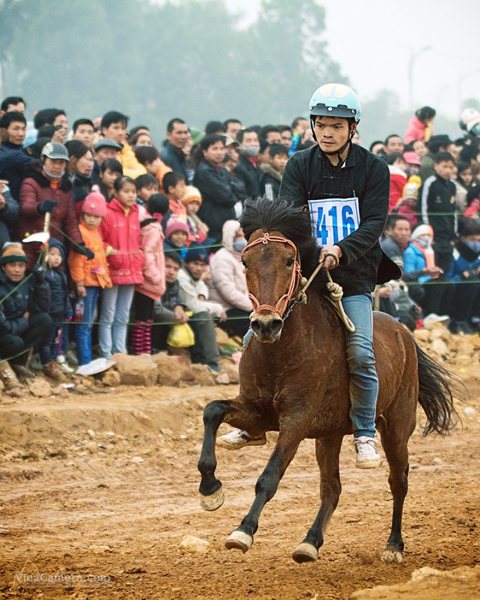 2014-02-16_HorseRace_DongMo_VinaCamera_12