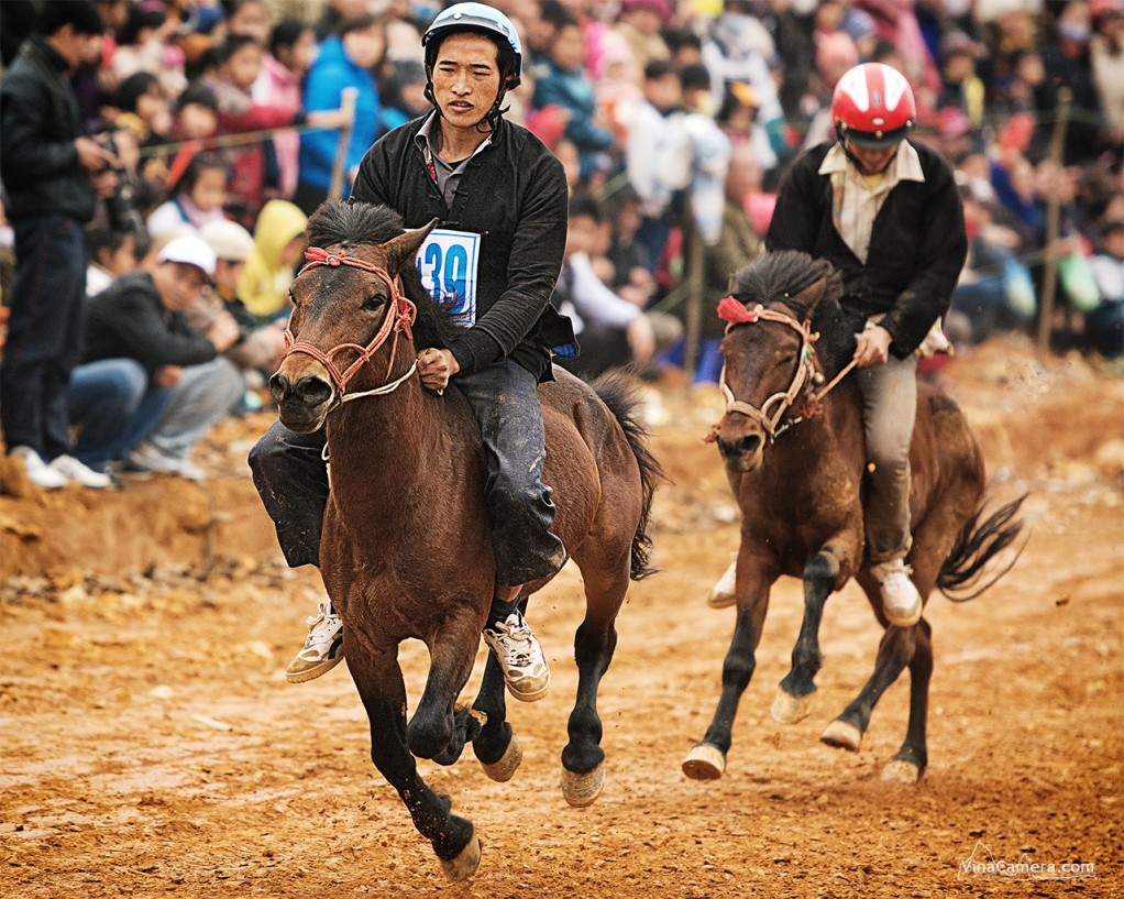 2014-02-16_HorseRace_DongMo_VinaCamera_19b