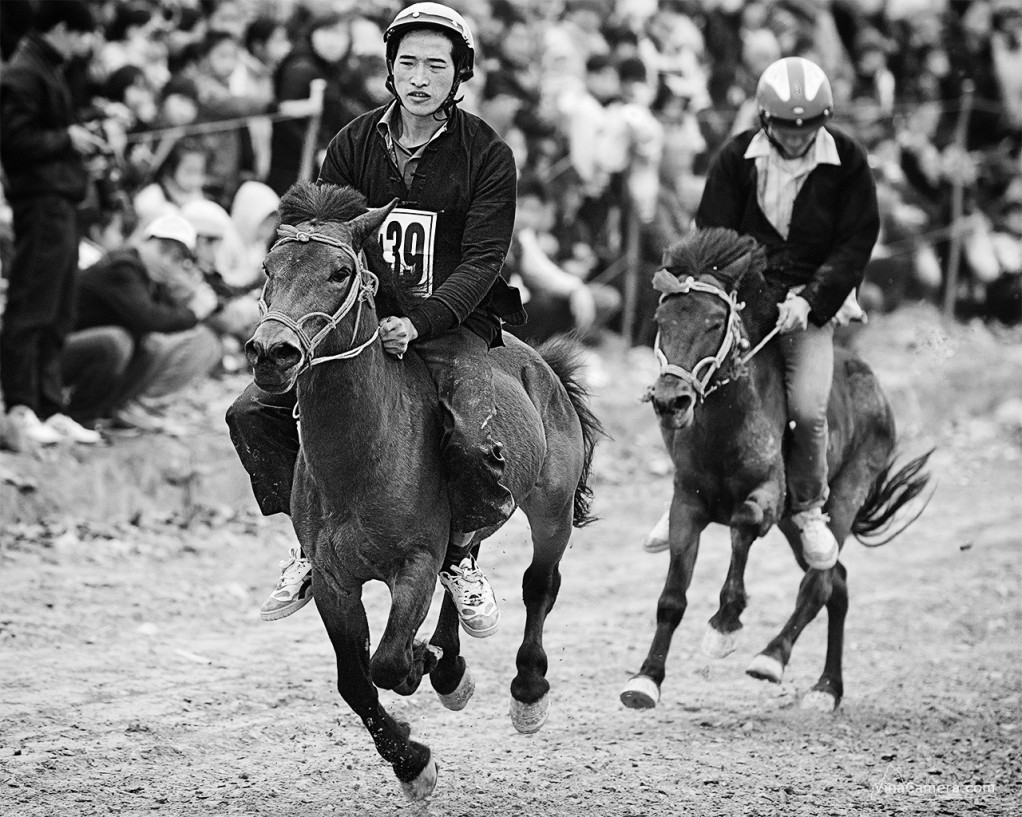 2014-02-16_HorseRace_DongMo_VinaCamera_19bw