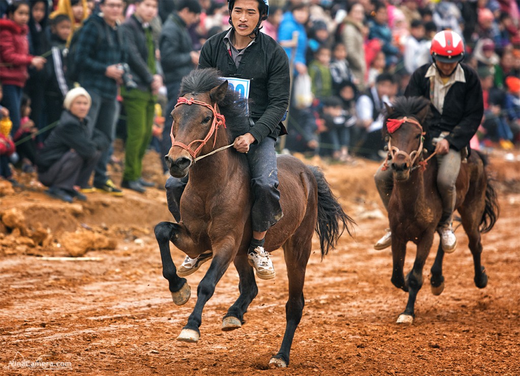 2014-02-16_HorseRace_DongMo_VinaCamera_2