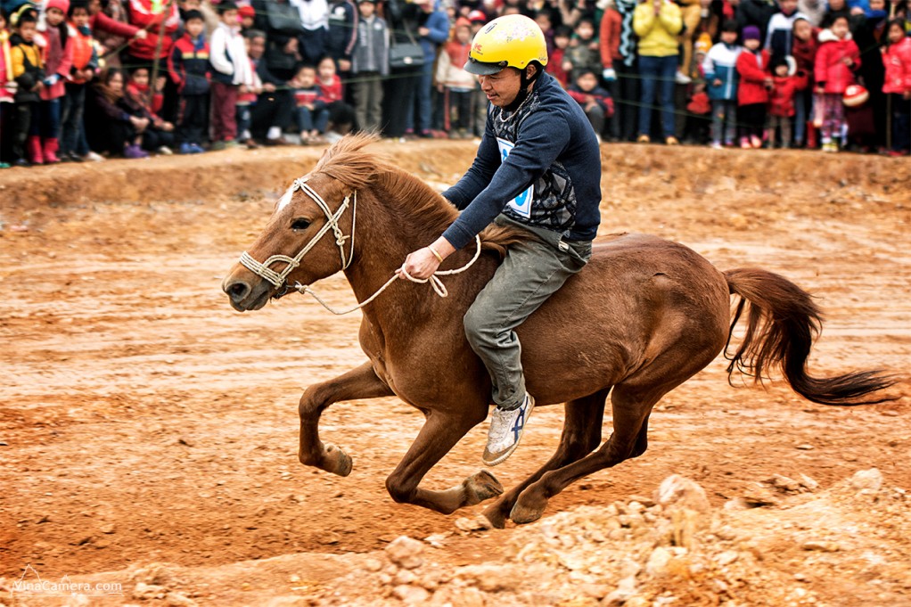 2014-02-16_HorseRace_DongMo_VinaCamera_3
