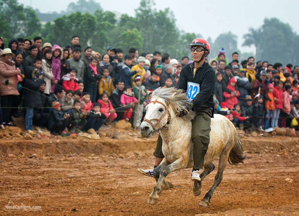 2014-02-16_HorseRace_DongMo_VinaCamera_5