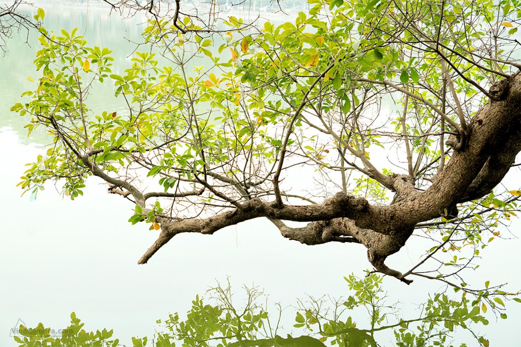 DSC_4146_VinaCamera2s