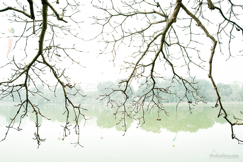 DSC_4167_VinaCamera2s