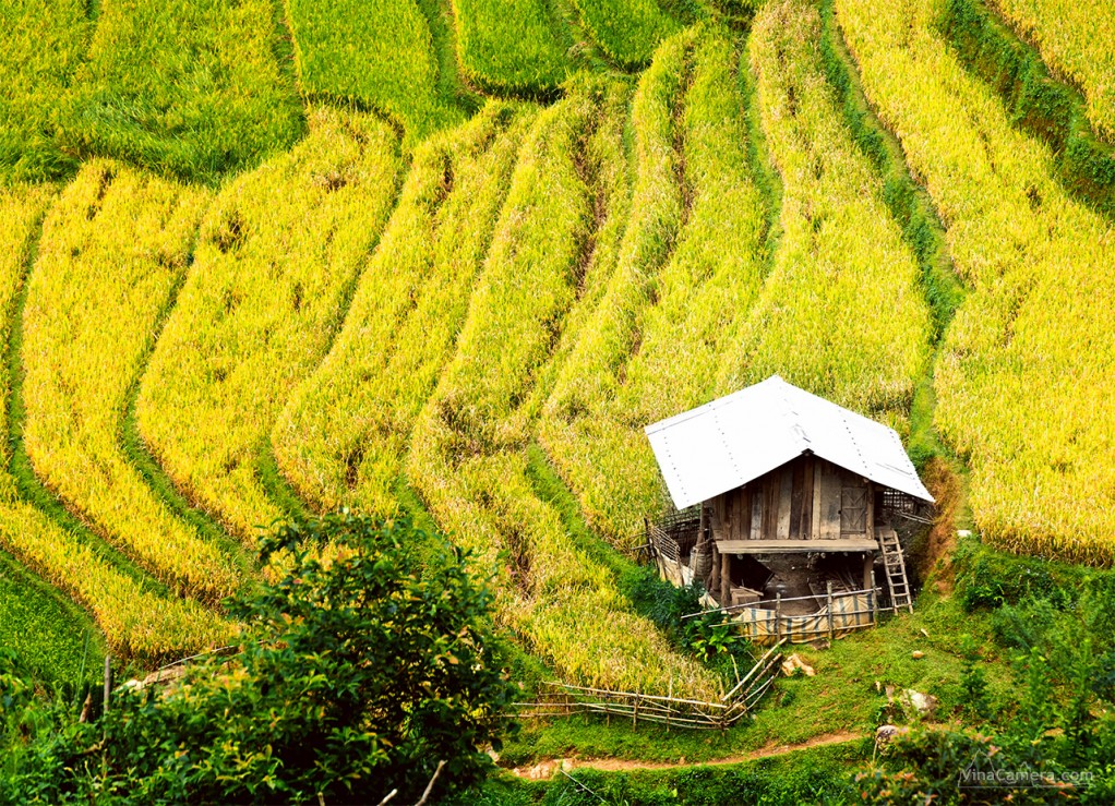 VinaCamera_MCC2013_DSC_0521e2s