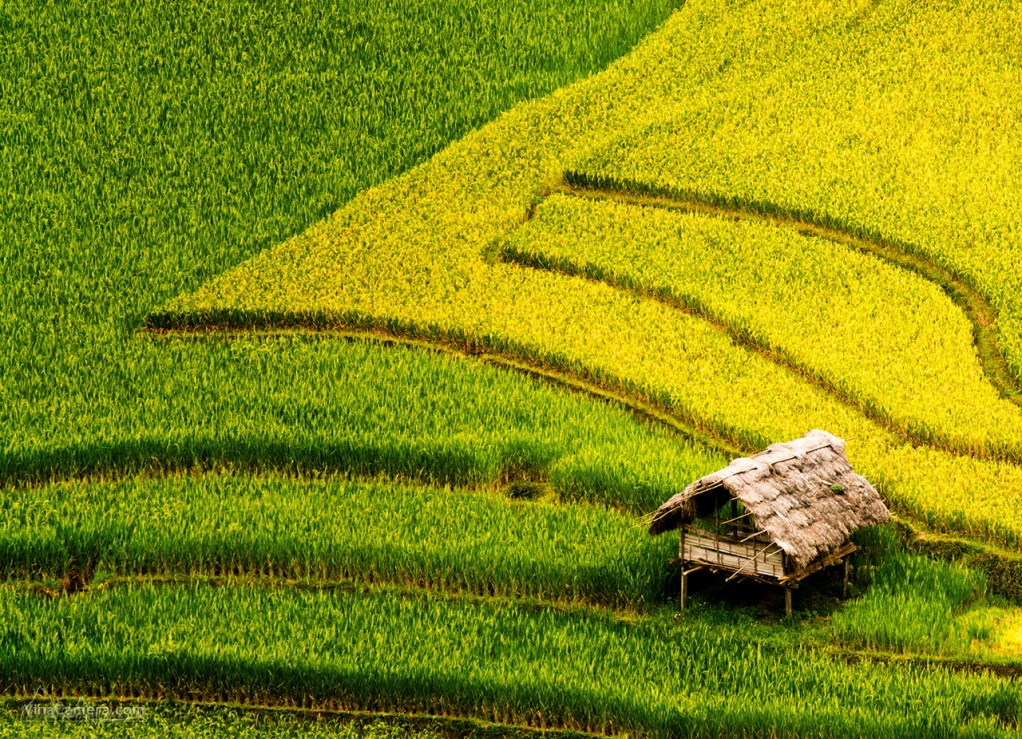 VinaCamera_MCC2013_DSC_0693e2s