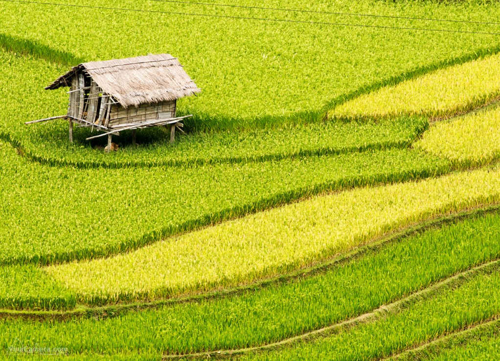 VinaCamera_MCC2013_DSC_0703e2s