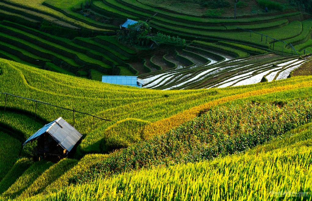 VinaCamera_MCC2013_DSC_0954e2s