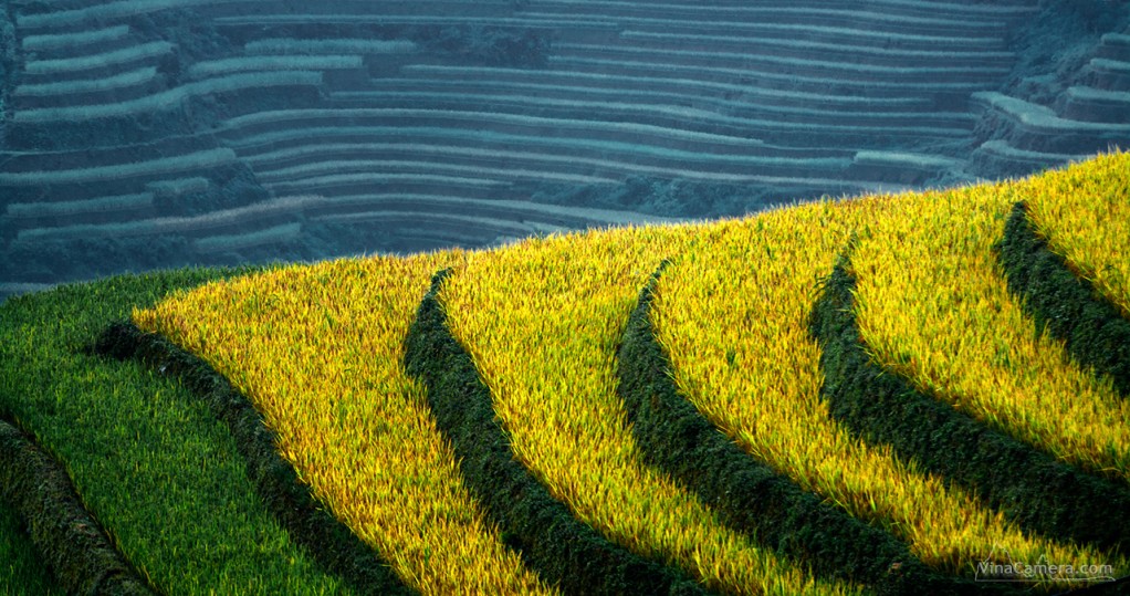 VinaCamera_MCC2013_DSC_1035e2s