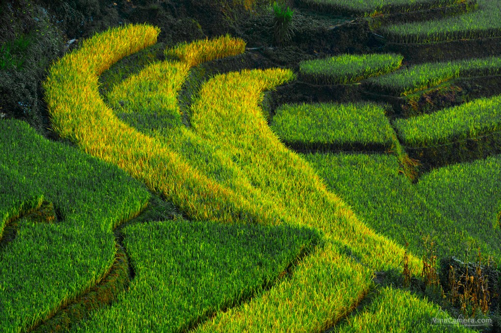 VinaCamera_MCC2013_DSC_1041e2s
