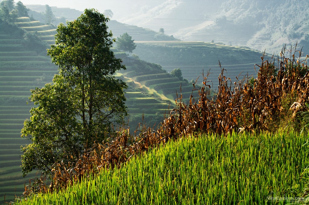 VinaCamera_MCC2013_DSC_1108e2s