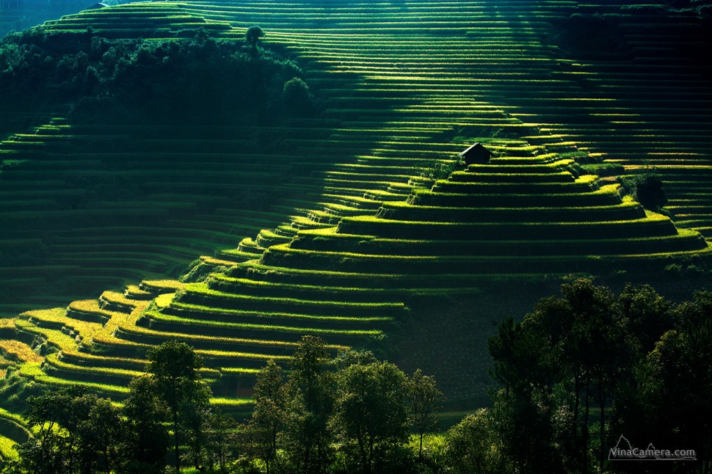 VinaCamera_MCC2013_DSC_1129e2s