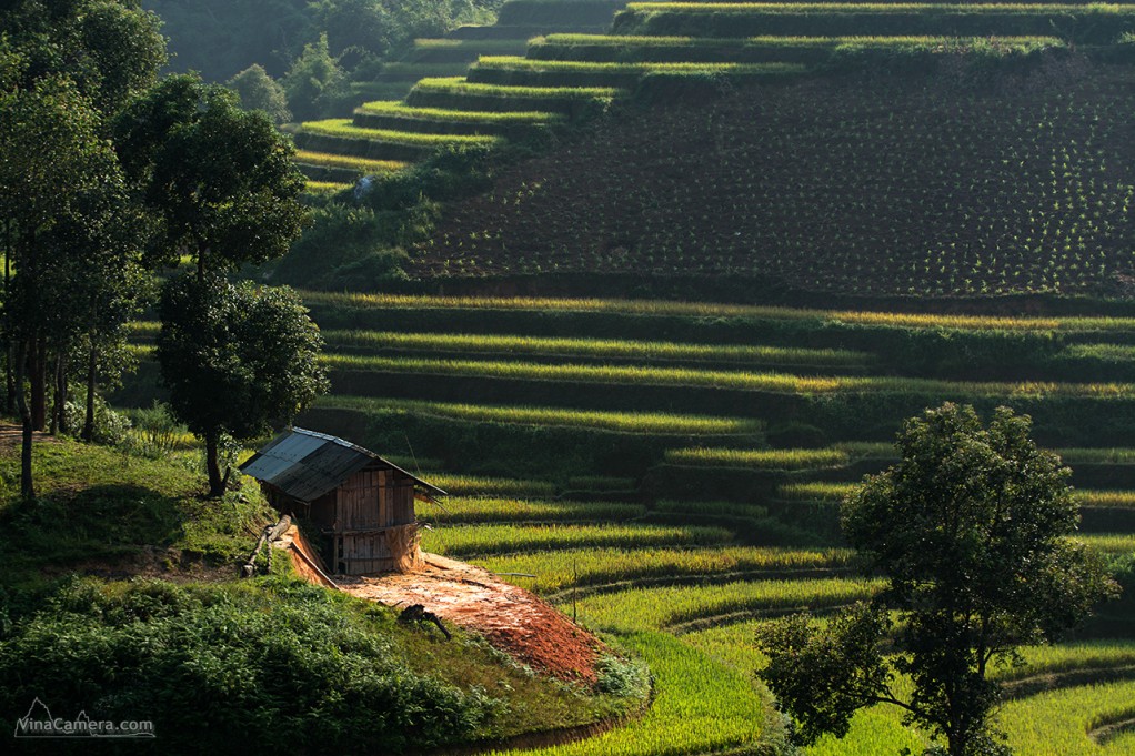 VinaCamera_MCC2013_DSC_1169e2s